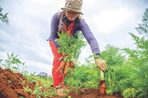 woman planting veggies